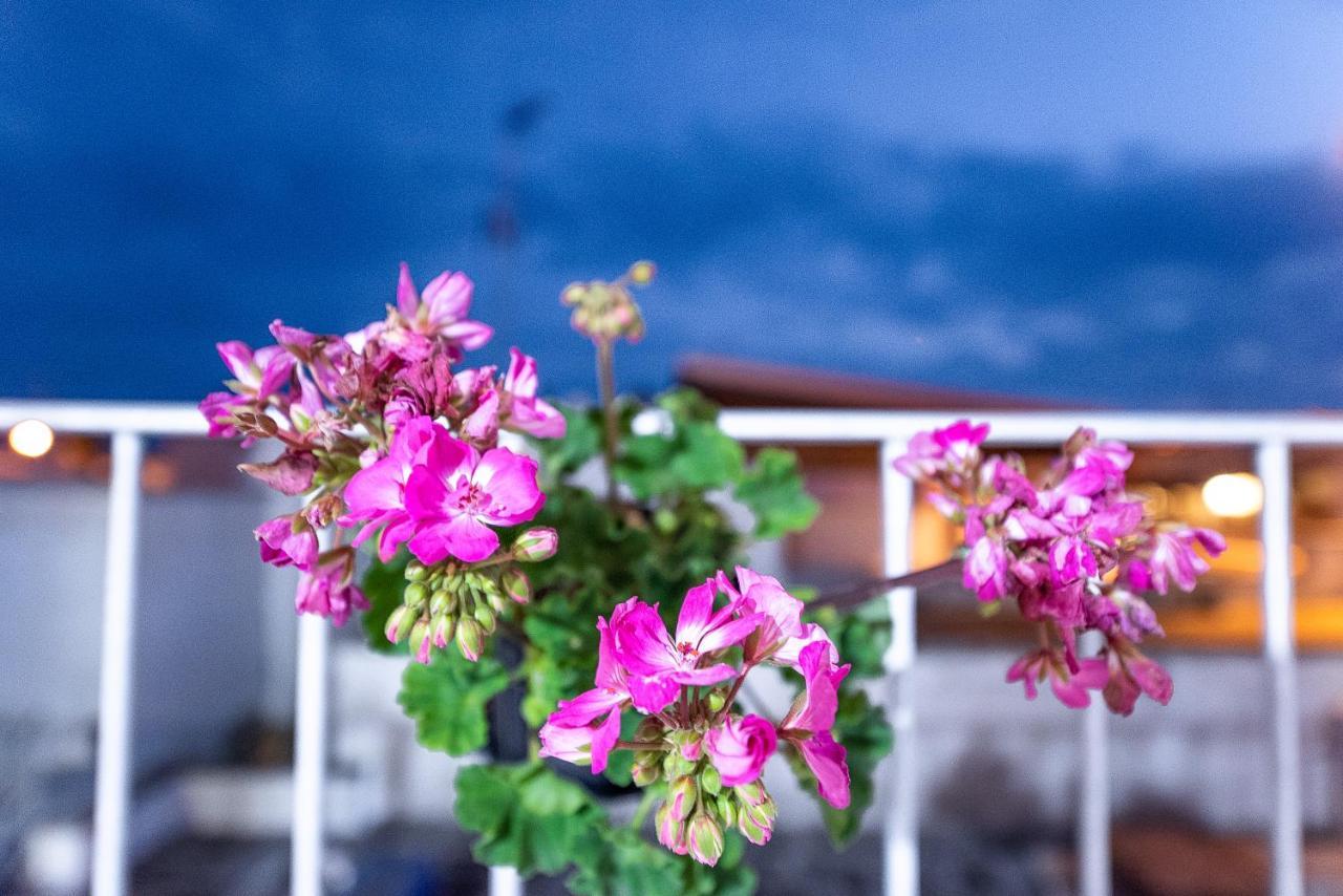 Bed and Breakfast La Scalinata Marina di Mancaversa Zewnętrze zdjęcie